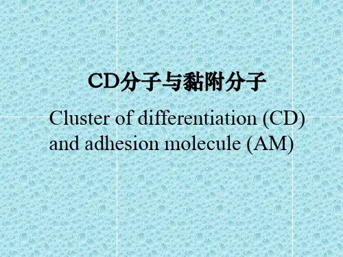 第七章__黏附分子