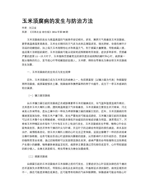 玉米顶腐病的发生与防治方法