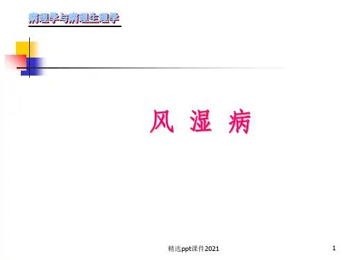 风湿病ppt课件