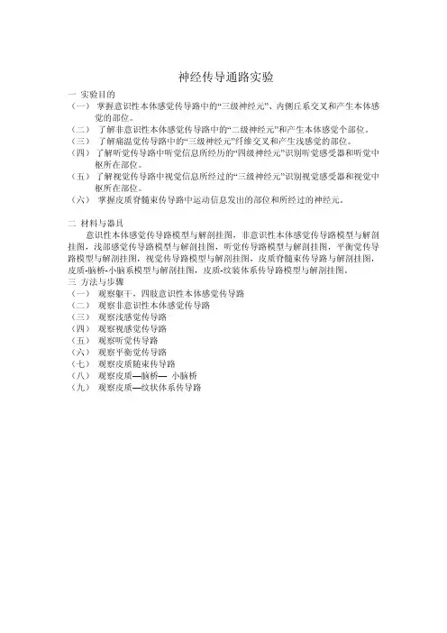 神经传导通路实验