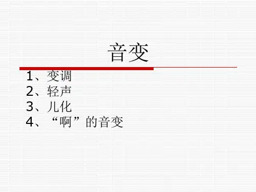 声调音变
