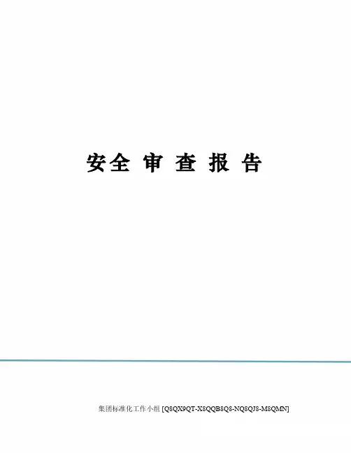安全 审 查 报 告