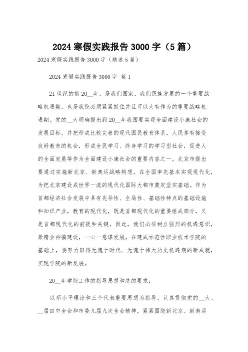 2024寒假实践报告3000字(5篇)