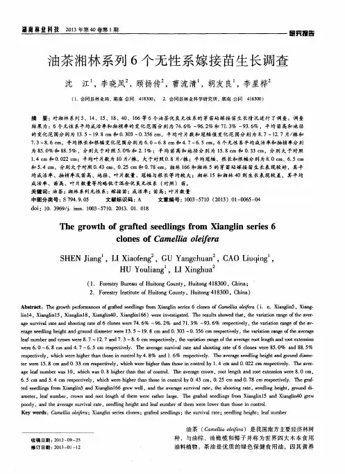 油茶湘林系列6个无性系嫁接苗生长调查
