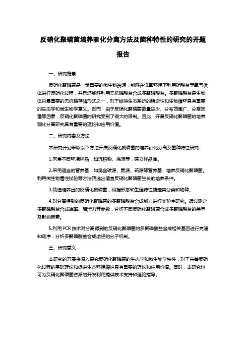 反硝化聚磷菌培养驯化分离方法及菌种特性的研究的开题报告