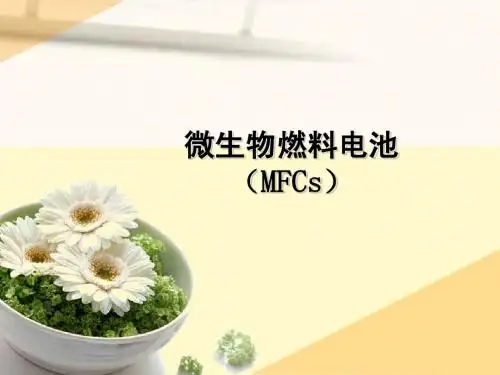 微生物燃料电池