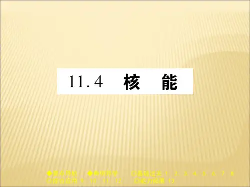 教科版九年级物理(全一册)课件：11.4 核能 (共22张PPT)