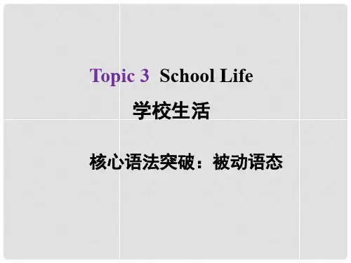 河北省中考英语总复习 Topic 3 School Life 2 被动语态课件