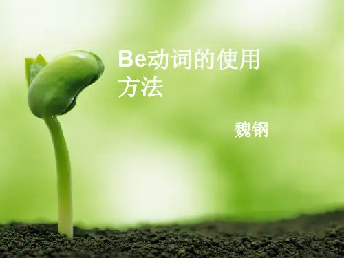 be动词的使用方法