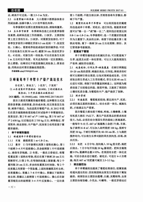 巨峰葡萄单干单臂丰产稳产栽培技术