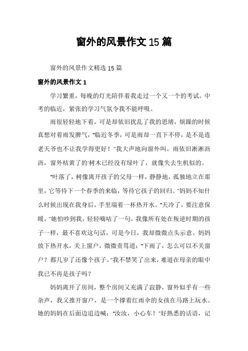 窗外的风景作文15篇
