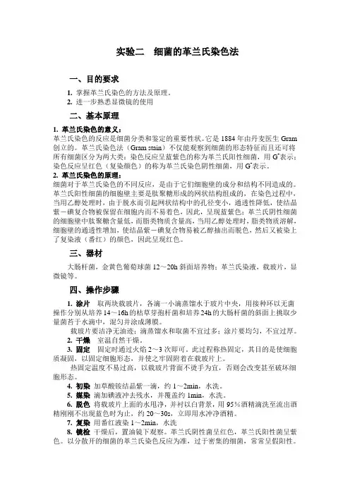 实验二 细菌的革兰氏染色法