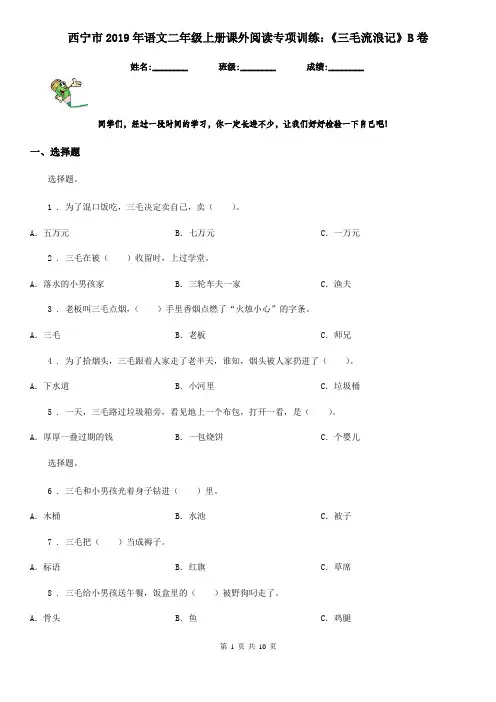 西宁市2019年语文二年级上册课外阅读专项训练：《三毛流浪记》B卷