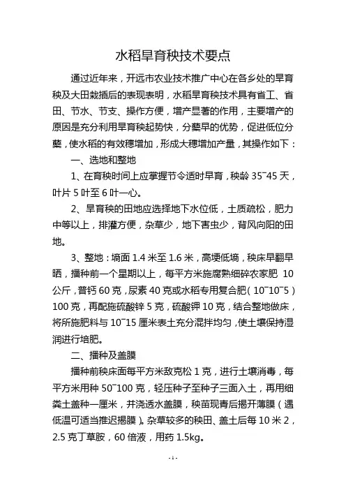 水稻旱育秧技术要点