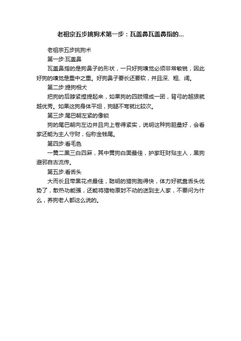 老祖宗五步挑狗术第一步：瓦盖鼻瓦盖鼻指的...