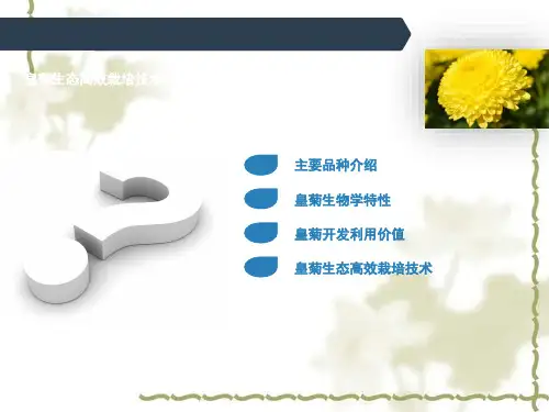 销售培训PPT冷色