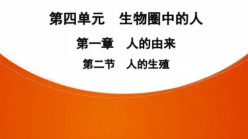七年级生物下册第4单元  第1章  第2节 人的生殖
