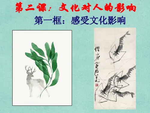 人教版课件《感受文化影响》完美教学PPT1