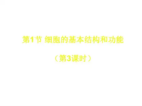 七年级生物细胞3