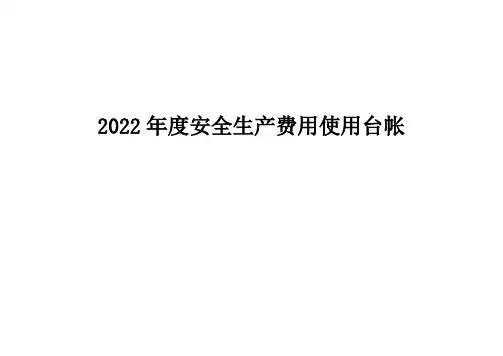 安全费用使用台账(2022)
