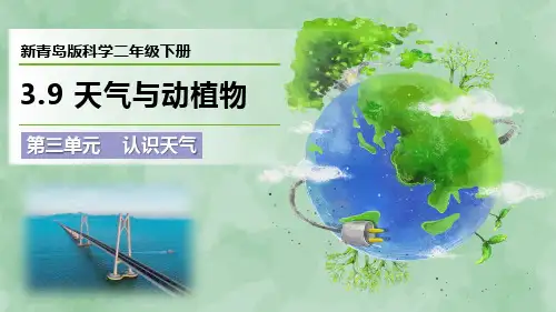 2024新青岛版科学二年级下册第三单元 认识天气《天气与动植物》优质课件