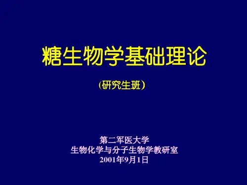糖生物学基础理论2(研究生班)