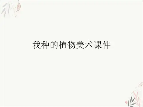 我种的植物美术ppt课件