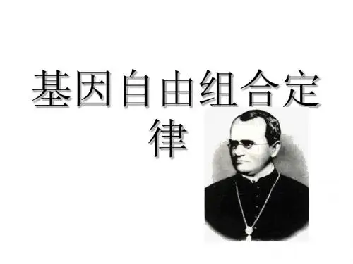 南京市金陵中学河西分校高中生物必修2《3-2 基因的自由组合定律》课件