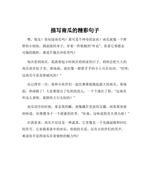 描写南瓜的精彩句子