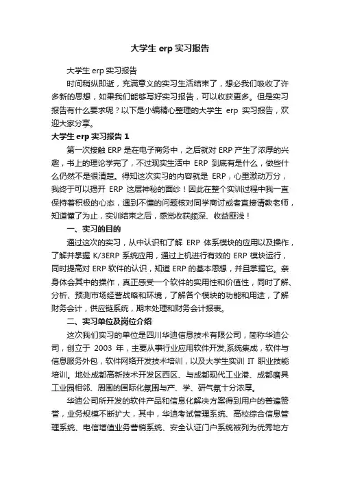 大学生erp实习报告