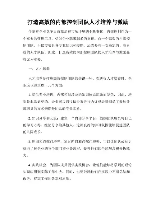 打造高效的内部控制团队人才培养与激励