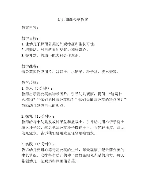 幼儿园蒲公英教案