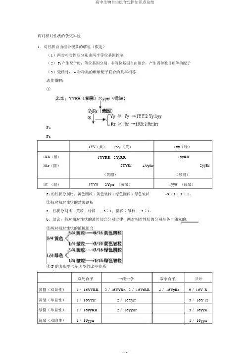 高中生物自由组合定律知识点总结
