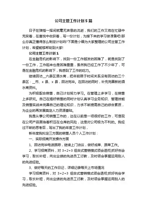 公司主管工作计划5篇