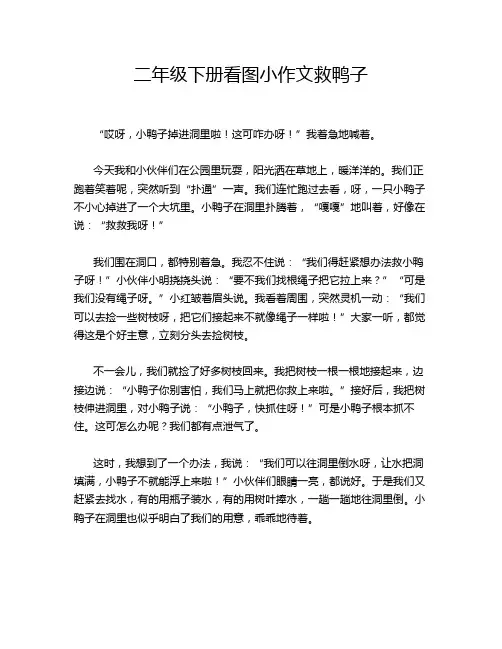 二年级下册看图小作文救鸭子