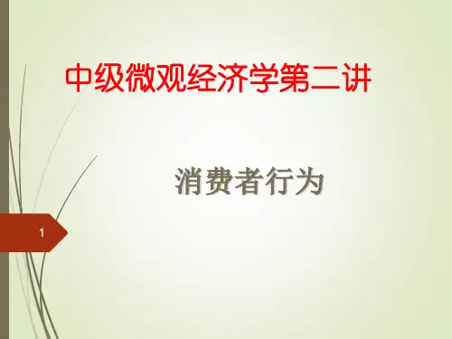 中级微观经济学第二讲