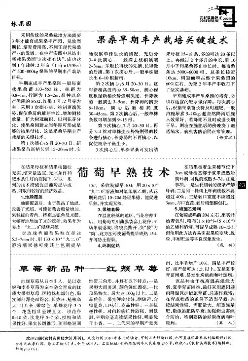 果桑早期丰产栽培关键技术