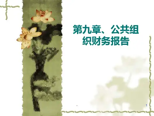 第九章、公共组织财务报告PPT课件