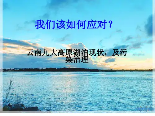 云南九大高原湖泊环境现状 共38页PPT资料