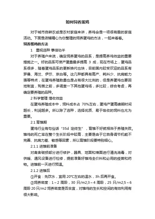 如何饲养蛋鸡