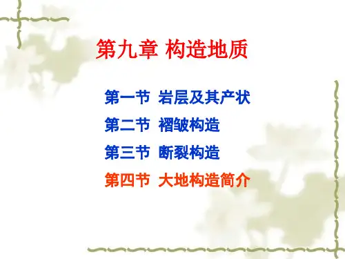 大地构造