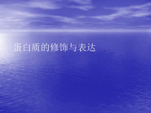 蛋白质的修饰与表达PPT讲稿