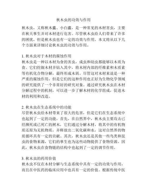 秋木虫的功效与作用