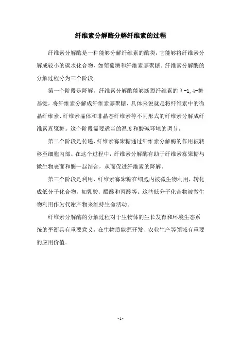 纤维素分解酶分解纤维素的过程
