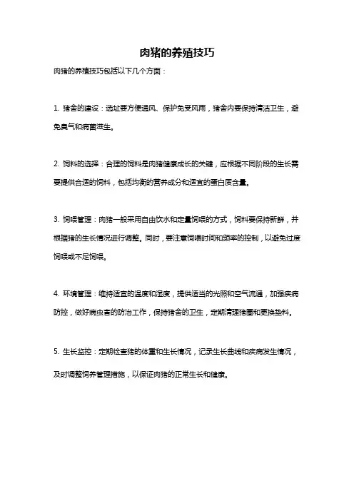肉猪的养殖技巧