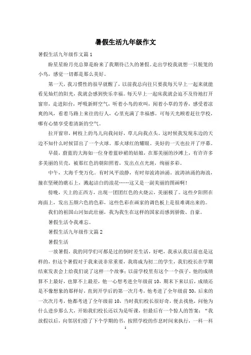 暑假生活九年级作文