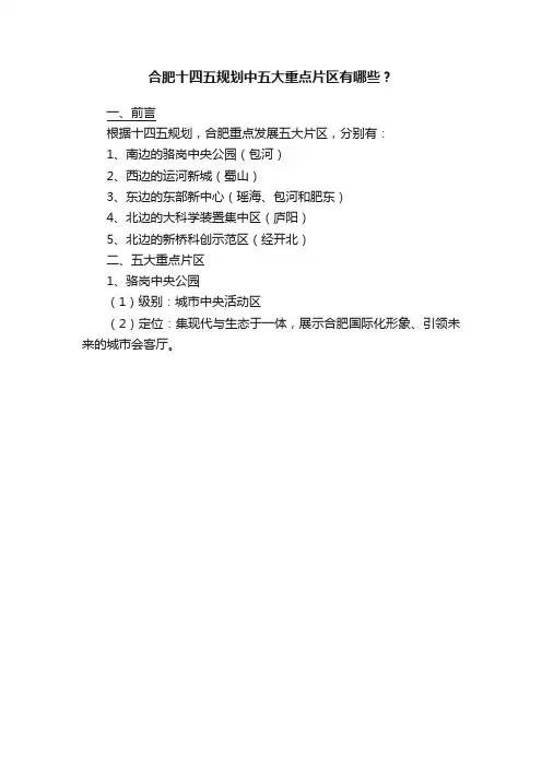 合肥十四五规划中五大重点片区有哪些？