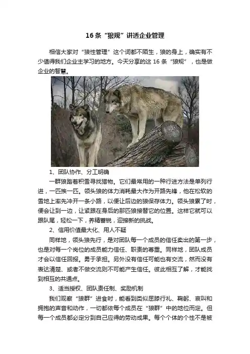 16条“狼规”讲透企业管理