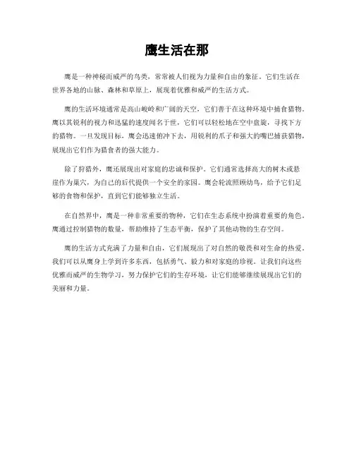 鹰生活在那