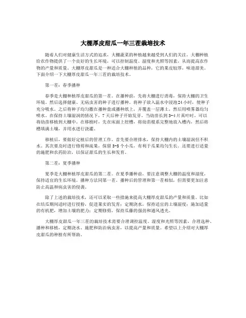 大棚厚皮甜瓜一年三茬栽培技术